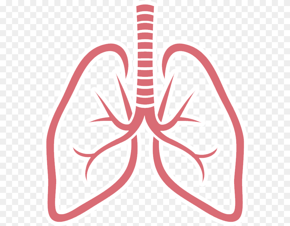 Lungs Picture Lung Free Png