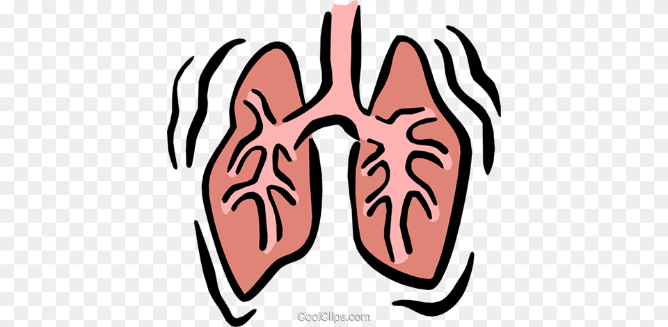 Lungs Royalty Vector Clip Art Illustration, Baby, Person, Head, Face Png Image