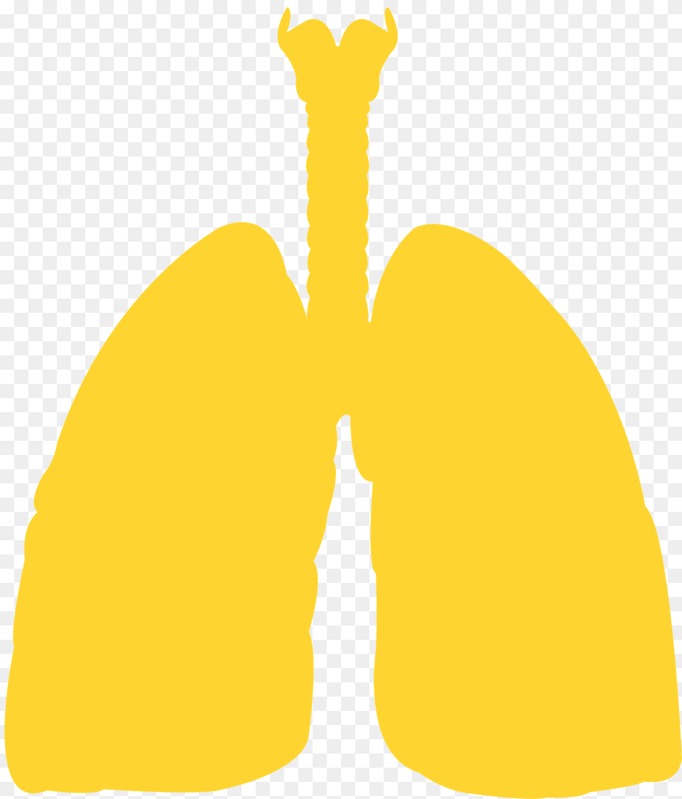 Lungs Silhouette, Food, Fruit, Plant, Produce Free Png