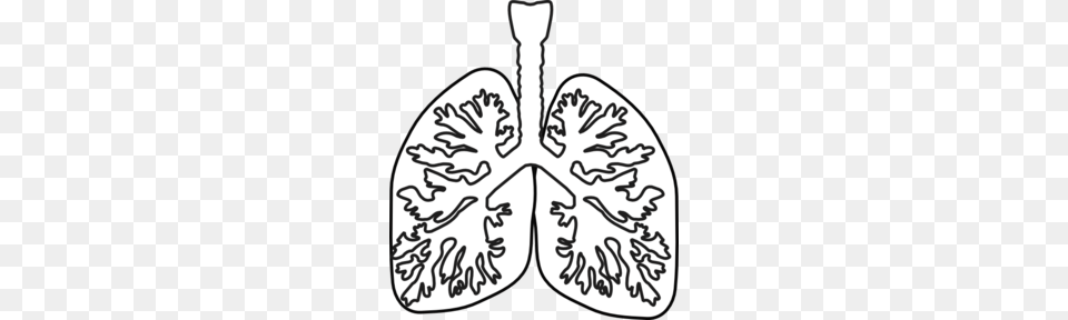 Lungs Vector Clipart, Ct Scan, Stencil, Person Free Png Download