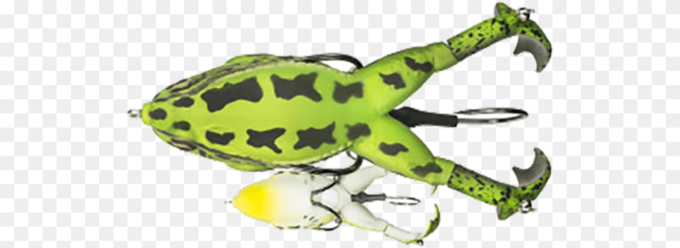 Lunkerhunt Prop Frog Leopard, Electronics, Hardware, Animal, Reptile Png