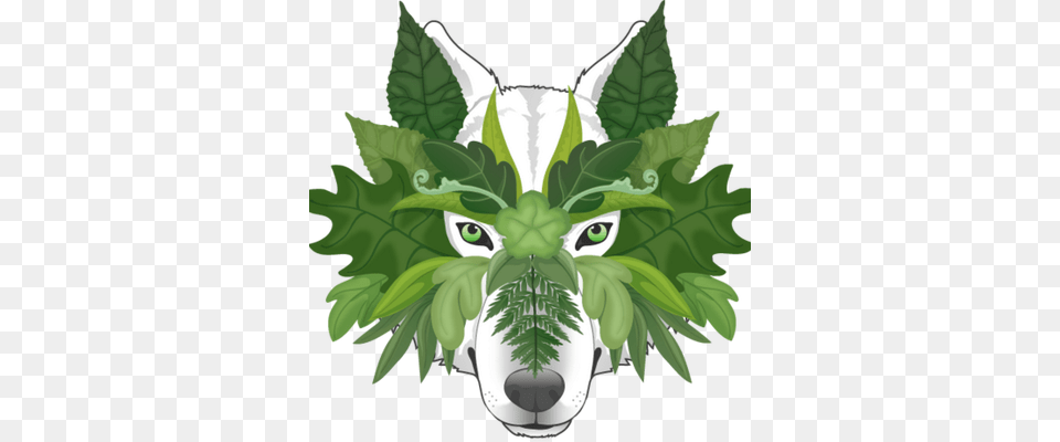 Lupa Transparent Green Wolf, Leaf, Plant, Herbal, Herbs Png