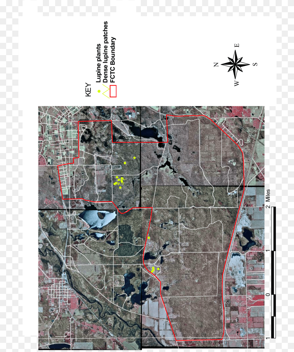 Lupine Patches Within The Fort Custer Training Center Plan, Chart, Plot, Neighborhood, Map Free Png