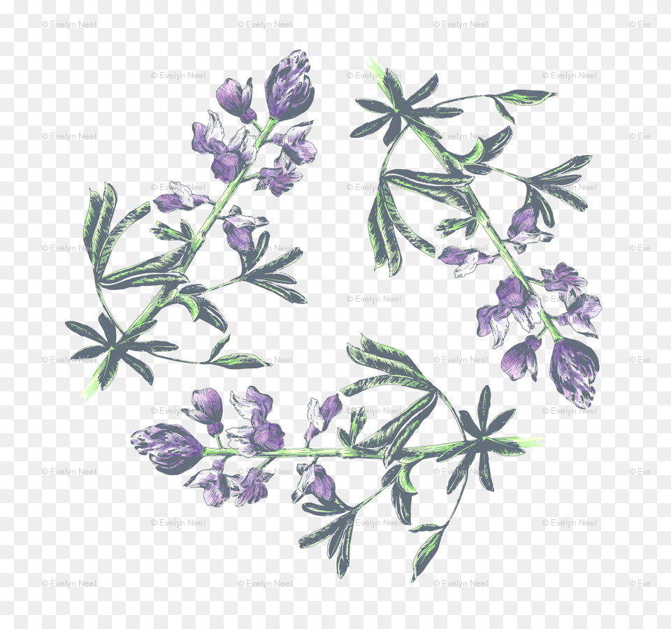 Lupine Triangle On White Small Print Wallpaper Perforate St John39s Wort, Flower, Plant, Leaf, Vegetation Free Png