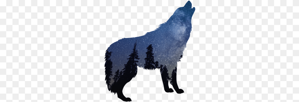 Lupo Stencil, Animal, Mammal, Wolf, Coyote Free Png Download