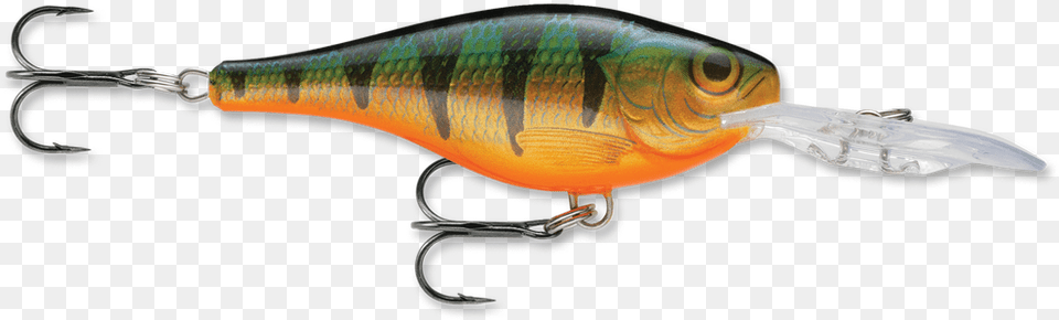 Lure Srrs05p Rapala Shad Rap Rs 2 34quot 716 Oz Shad, Electronics, Hardware, Animal, Fish Png