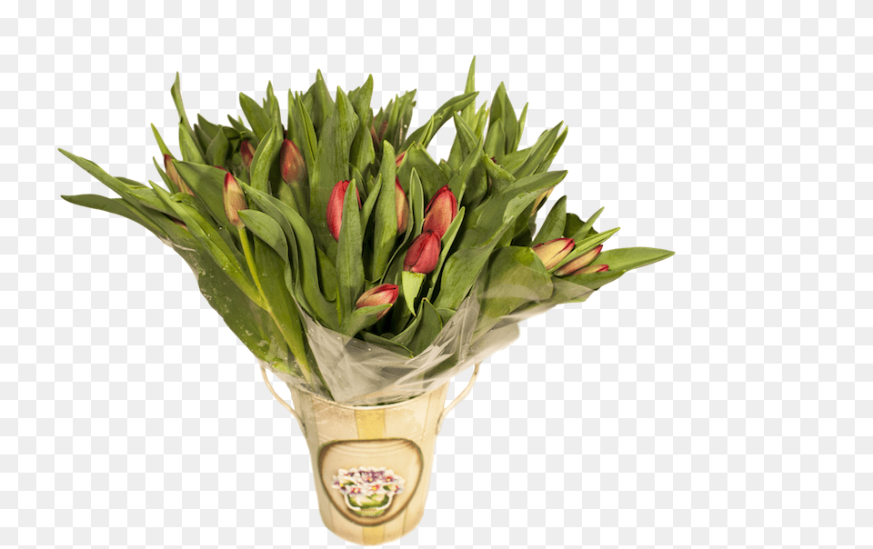 Lush Artificial Flower, Flower Arrangement, Flower Bouquet, Plant, Potted Plant Png Image