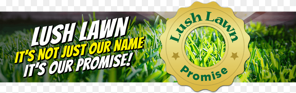 Lush Lawn Promise Graphic Design, Grass, Vegetation, Plant, Nature Free Png Download