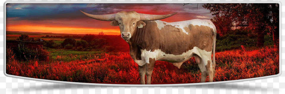 Lutt Longhorns Sale Banner Texas Longhorn, Animal, Bull, Mammal, Cattle Png Image