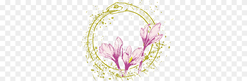 Lux Projects Photos Videos Logos Illustrations And Girly, Flower, Plant, Anther, Petal Free Transparent Png
