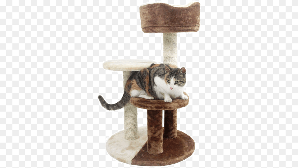 Luxurious Three Layer Cat Climbing Frame Comfortable Cat Tree, Animal, Mammal, Pet, Wood Free Png Download
