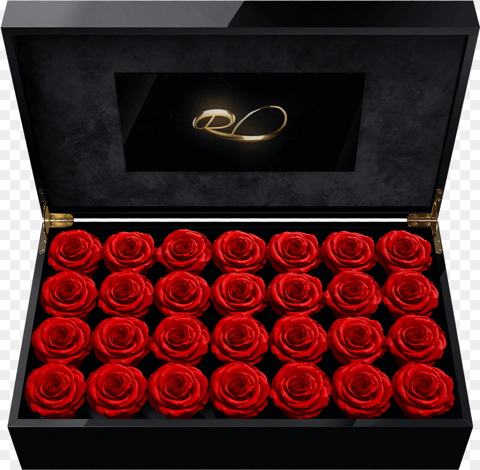 Luxury Lcd Display Flower Box Royal With 28 Preserved Rose, Plant, Accessories, Formal Wear, Tie Png Image