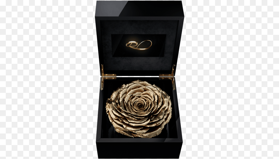 Luxury Video Flower Box Magna With A Xl Preserved Gold Rose, Treasure, Accessories Free Png Download