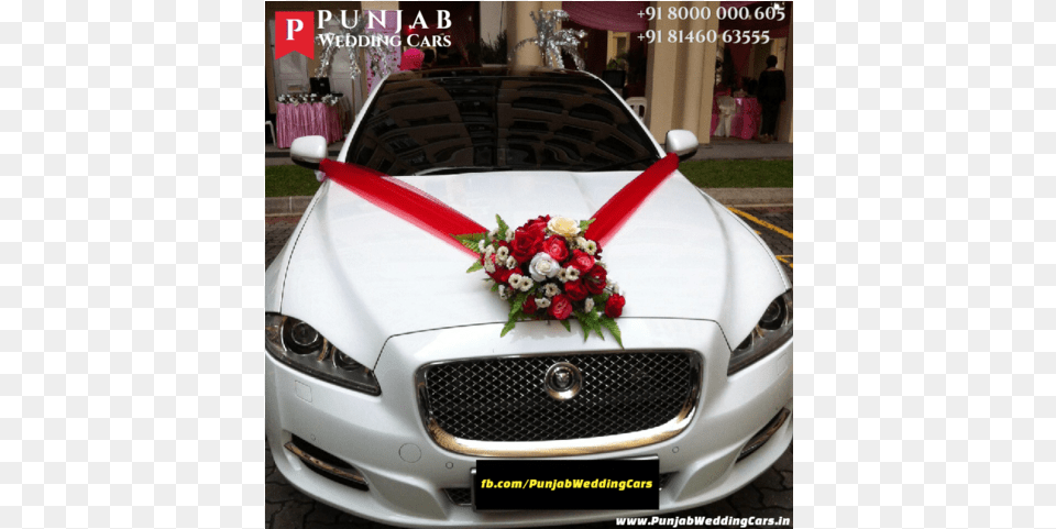 Luxury Wedding Cars For Hire In Punjab Chandigarh India Doli Wali Cars, Car, Flower, Flower Arrangement, Flower Bouquet Free Png Download
