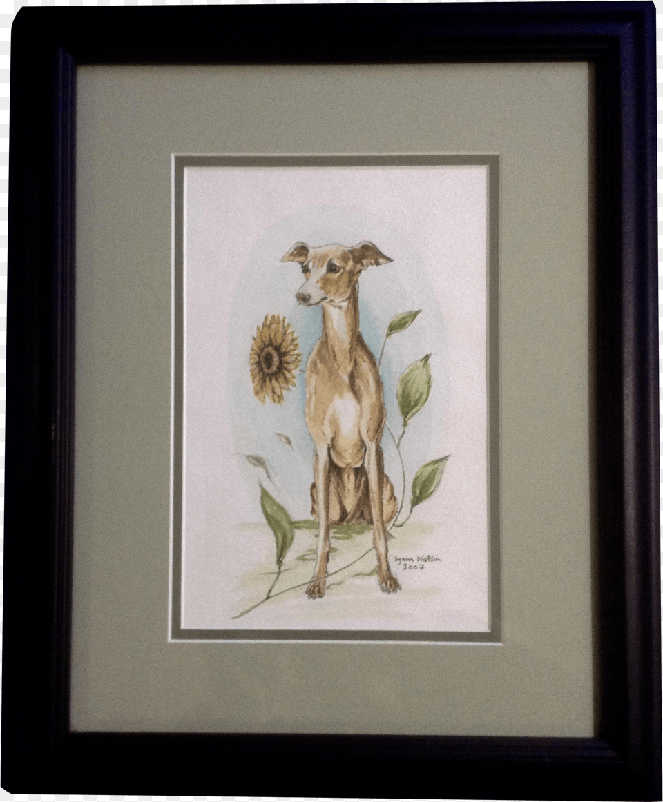 Lyana Watson Greyhound Dog Sitting By A Sunflower Picture Frame, Art, Painting, Animal, Kangaroo Free Png