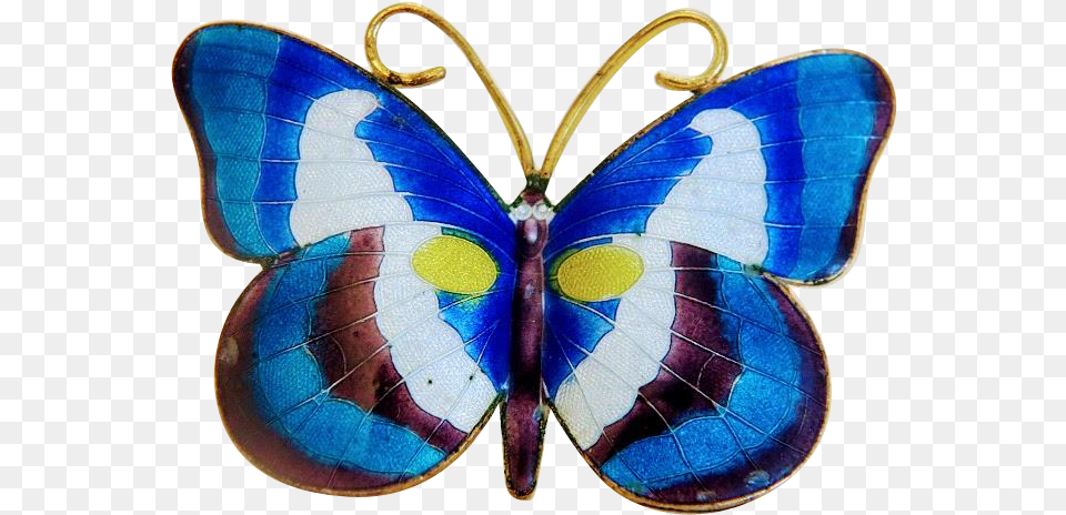 Lycaenid, Accessories, Animal, Butterfly, Insect Png Image