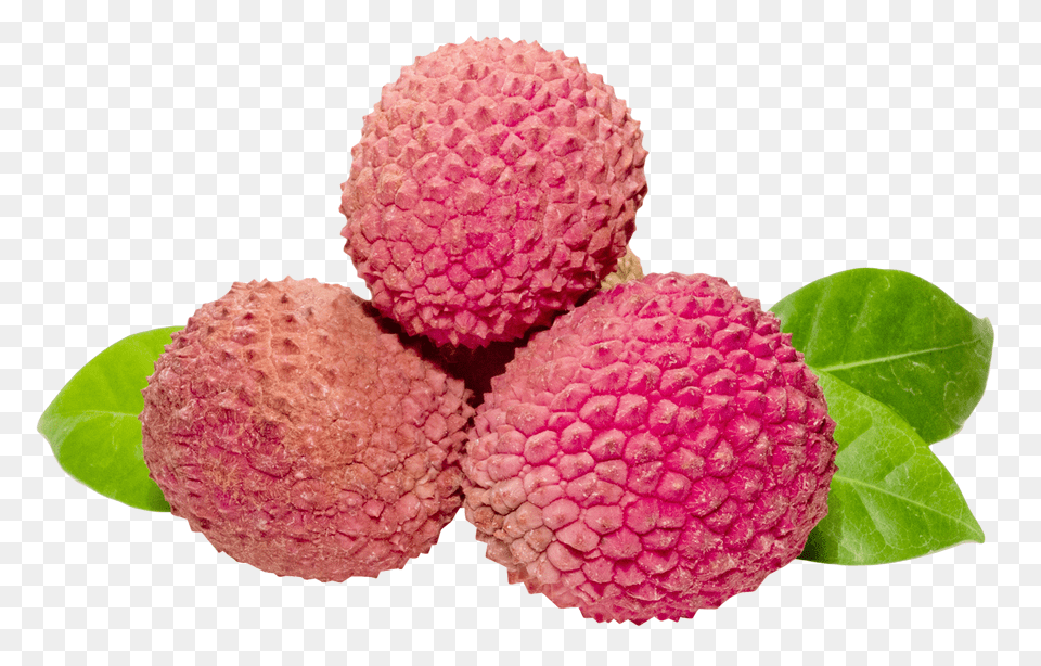 Lychee, Food, Fruit, Plant, Produce Free Transparent Png