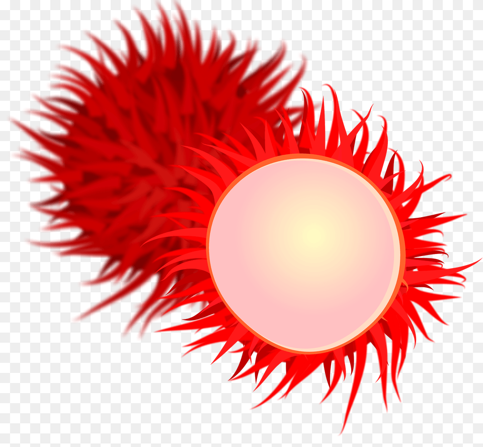Lychee Clipart, Nature, Outdoors, Sky, Sun Png Image