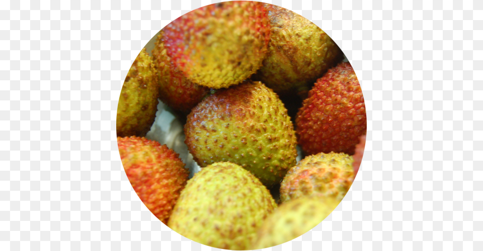 Lychee Indian Lychee, Berry, Food, Fruit, Plant Free Png