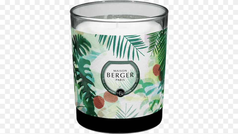 Lychee Paradise Scented Candle Candle, Cup, Glass Free Png