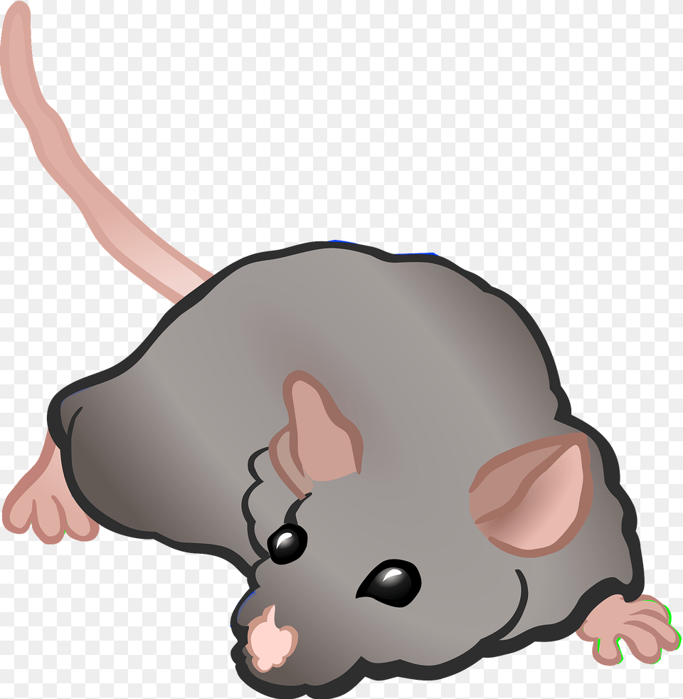 Lying Mouse Clipart, Animal, Mammal, Baby, Person Png