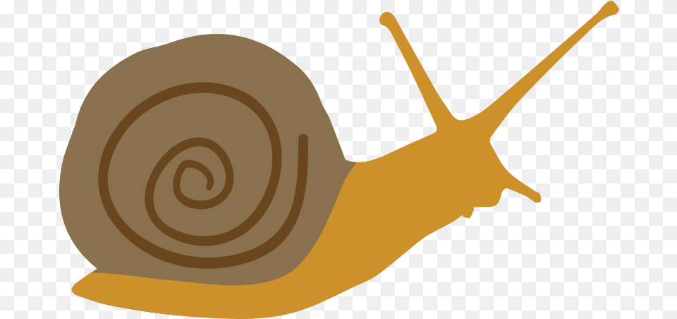 Lymnaeidae, Animal, Invertebrate, Snail, Kangaroo Free Png