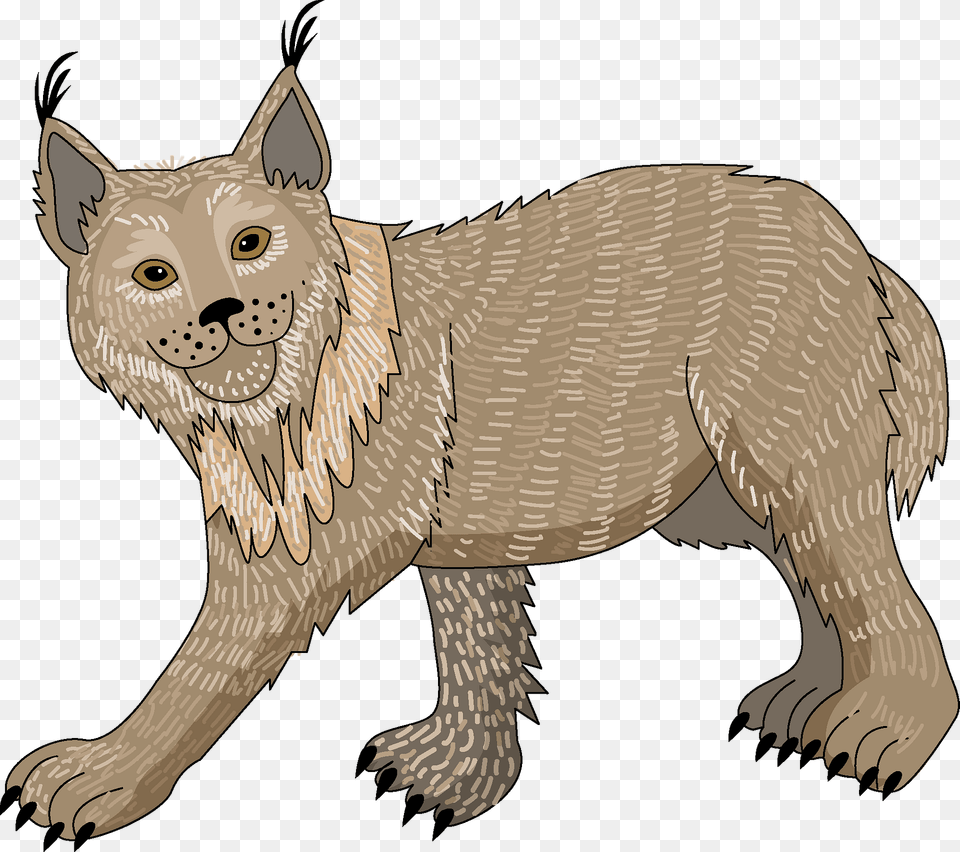 Lynx Clipart, Animal, Mammal, Kangaroo, Wildlife Free Png