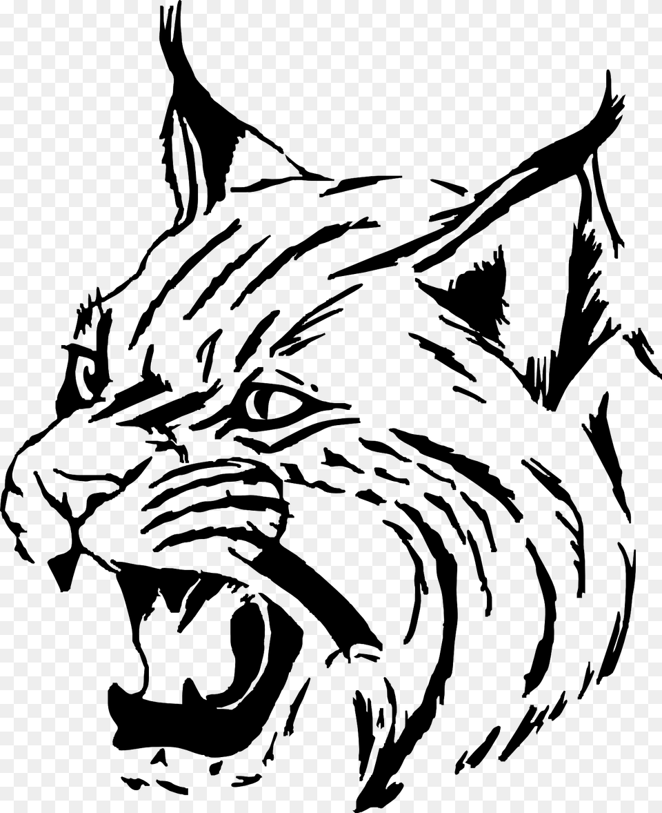 Lynx Face Clipart, Animal, Mammal, Wildlife, Person Png Image