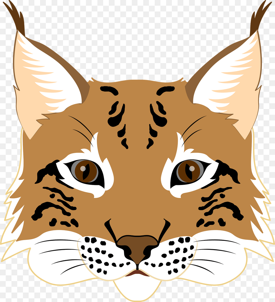 Lynx Face Clipart, Animal, Mammal, Wildlife, Pig Png