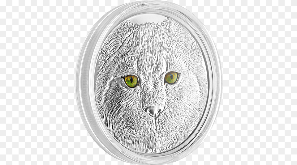 Lynx Glow In The Dark Eyes 15 Silver Coin 2017 Canada British Shorthair, Jar, Photography Png Image