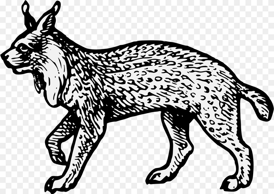Lynx Heraldry, Stencil, Animal, Art, Dinosaur Free Transparent Png