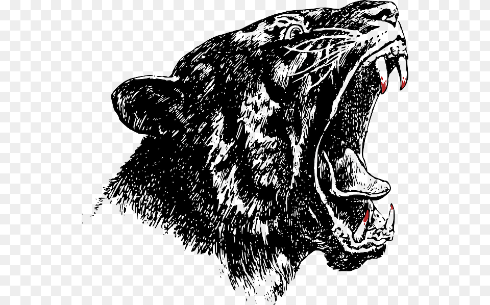 Lynx Panther Wildcat Yawning Hungry Animal Teeth Go Savage, Canine, Dog, Mammal, Pet Free Png Download