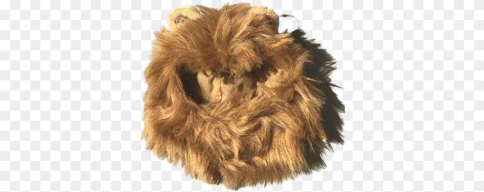 Lyon Hat Cat Dog Sphynx Cats Clothes Small Animal Product, Lion, Mammal, Wildlife, Bear Png