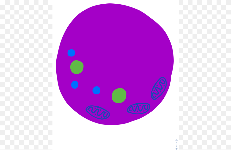 Lysosomes Are Membrane Bound Organelles That Contain, Purple, Clothing, Hardhat, Helmet Png Image