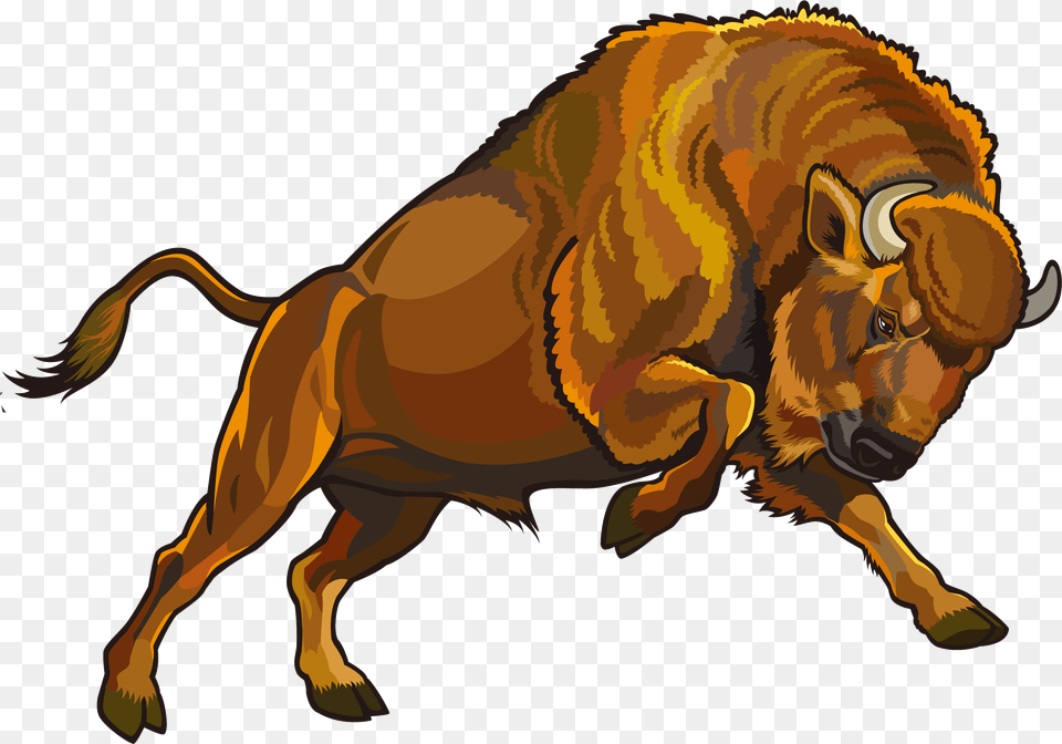 M Bison, Animal, Buffalo, Mammal, Wildlife Png Image