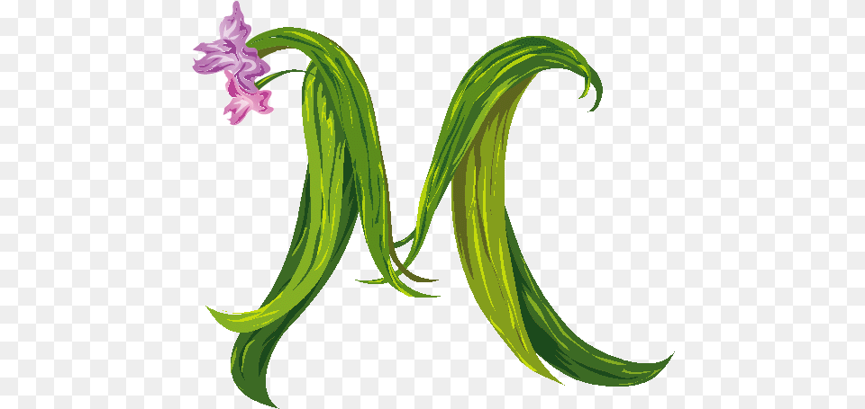 M Pictures Letter M, Plant, Flower, Food, Produce Png
