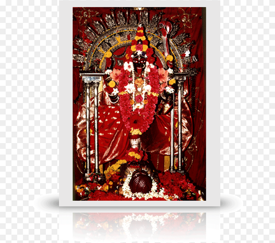 Ma Bhavatarini Kali Kali The Mother Goddess Bengali, Flower, Flower Arrangement, Plant, Church Free Png
