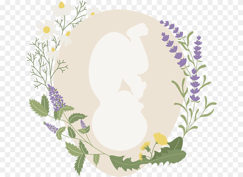 Ma Homebirth Midwife Dina Fraize Cpm, Art, Graphics, Herbal, Herbs Free Transparent Png