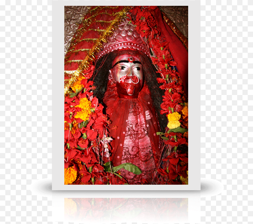 Ma Tara Face 57 Tara Maa Full Hd, Flower Arrangement, Plant, Flower, Wedding Png Image