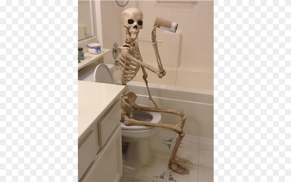 Ma We39re Out Of Toilet Paper Skeleton Sitting On The Toilet, Indoors, Bathroom, Room Png