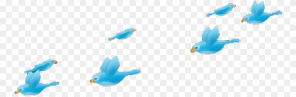 Mac Birdfilter Blue Tumblr Apple Birdcrownheartcrown Blue Bird Crown, Animal, Flying, Parakeet, Parrot Png Image