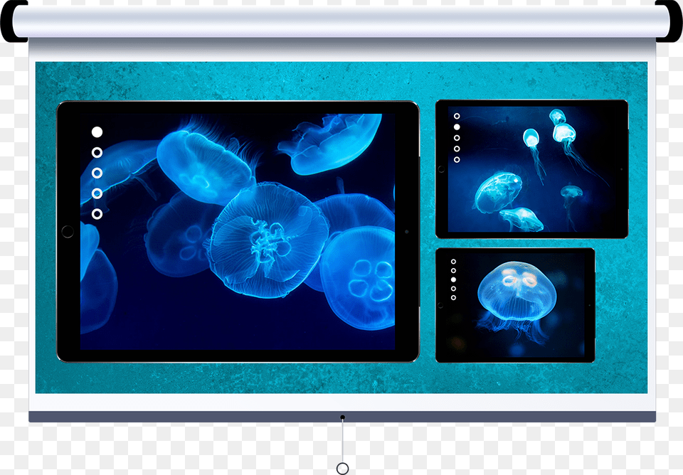 Mac Clipart Blue Computer Led Backlit Lcd Display, Animal, Sea Life, Invertebrate, Jellyfish Png Image