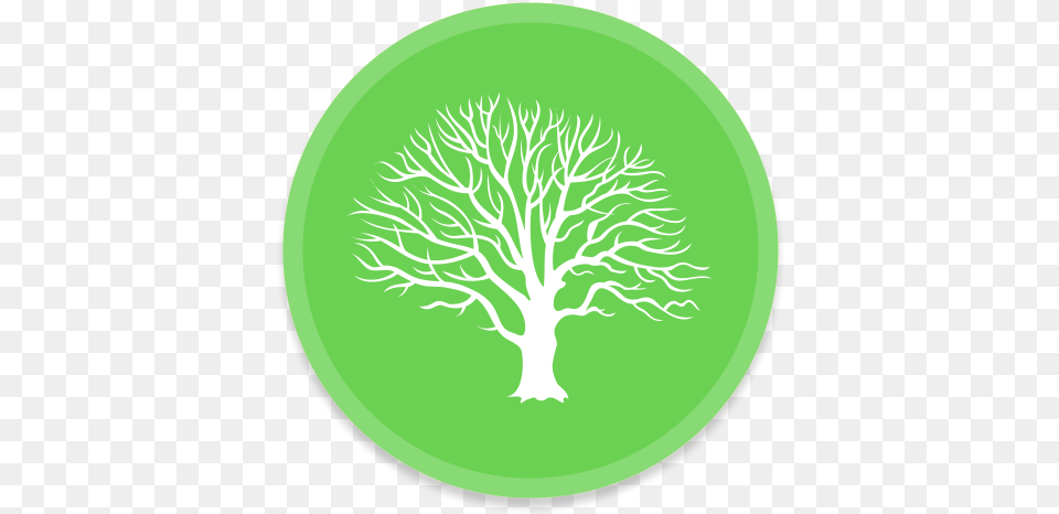 Mac Family Tree Icon Of Button Green Tree Icon, Sticker, Plant, Oak, Night Png