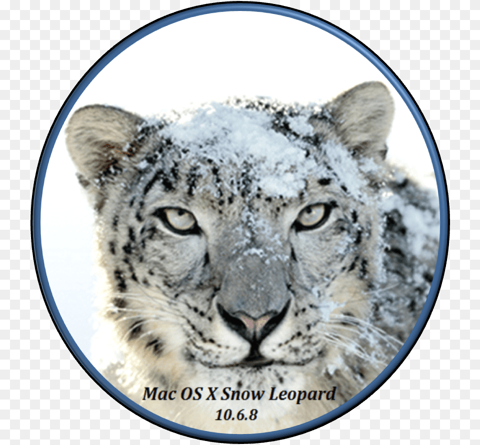 Mac Os X Snow Leopard Iatkos, Animal, Mammal, Panther, Wildlife Free Png