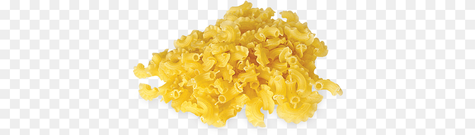 Macaroni Tagliatelle, Food, Pasta, Birthday Cake, Cake Png Image