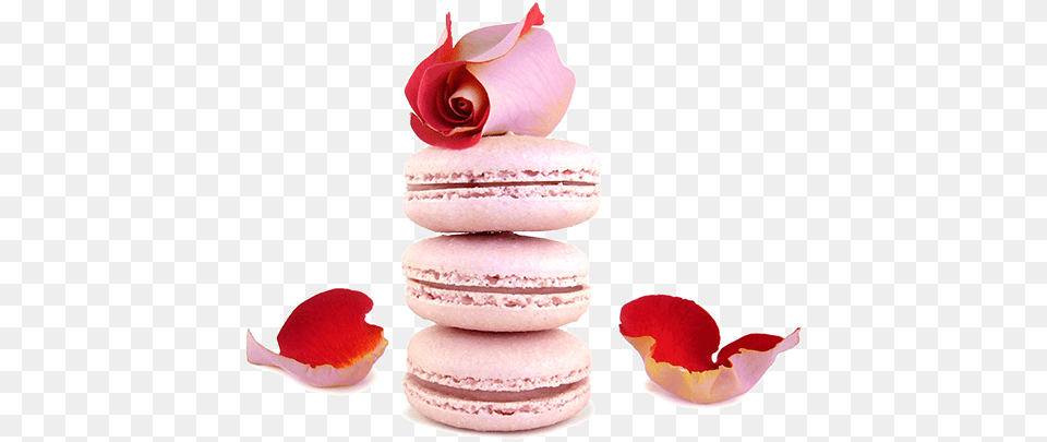 Macaroon, Food, Sweets, Flower, Plant Free Png