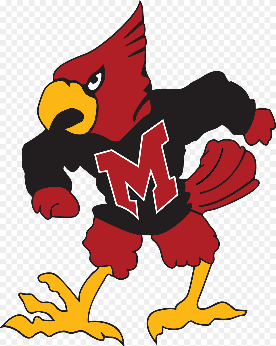 Macarthur High School Cardinals, Animal, Beak, Bird Free Transparent Png