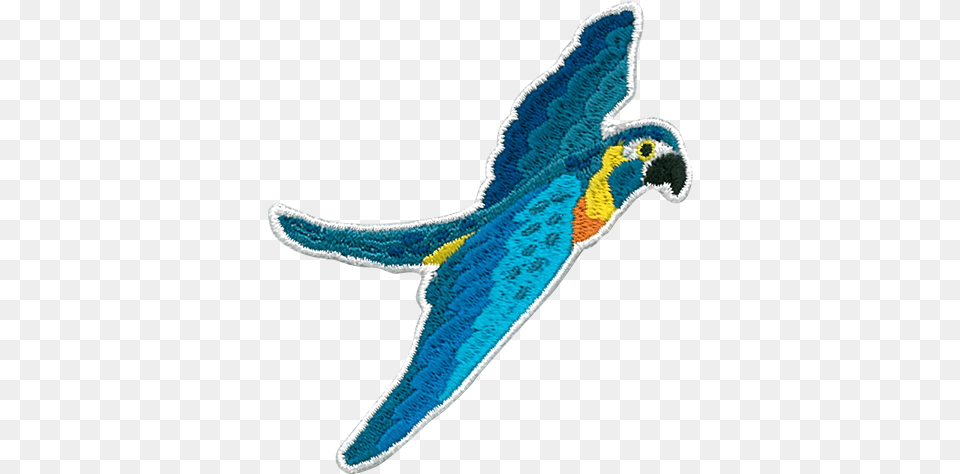 Macaw, Animal, Clothing, Knitwear, Sweater Png