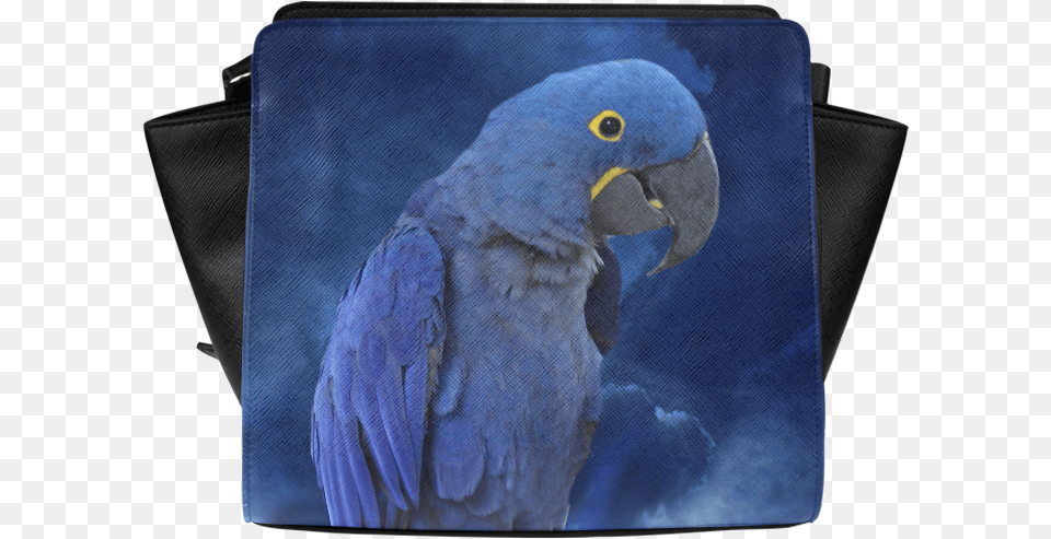 Macaw, Animal, Bird, Parrot, Chair Free Transparent Png