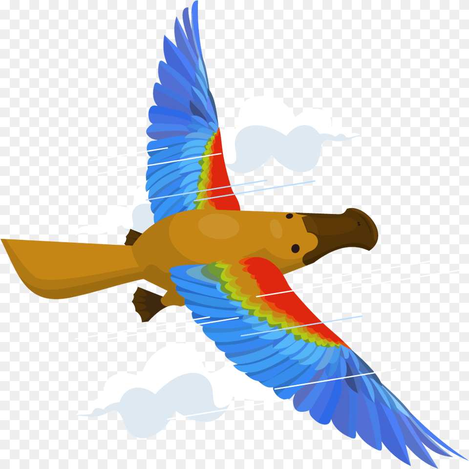 Macaw, Animal, Bird, Fish, Sea Life Free Transparent Png